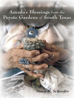 cover image of Amada's Blessings from the Peyote Gardens of South Texas